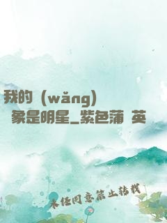 我的網(wǎng)戀對象是明星