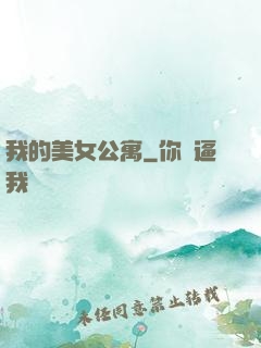 我的美女公寓
