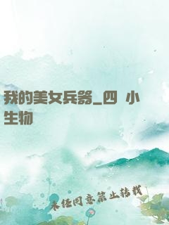 我的美女兵器