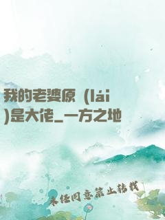 我的老婆原來(lái)是大佬
