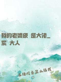 我的老婆原來是大佬