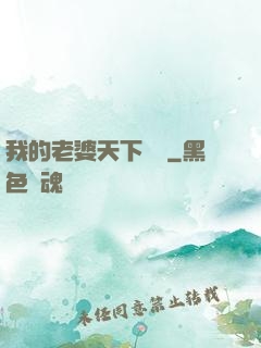 我的老婆天下無敵