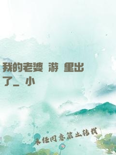我的老婆從游戲里出來了