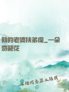 我的老婆扶弟魔