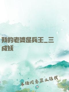 我的老婆是兵王