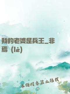 我的老婆是兵王