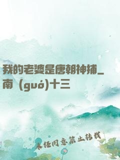 我的老婆是唐朝神捕