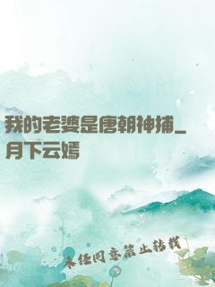 我的老婆是唐朝神捕