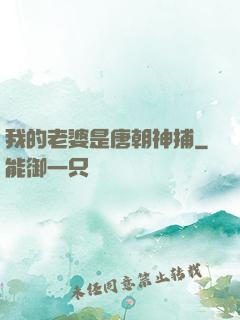 我的老婆是唐朝神捕