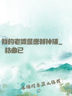 我的老婆是唐朝神捕