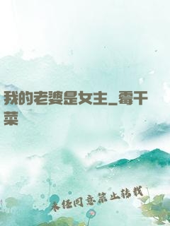 我的老婆是女主