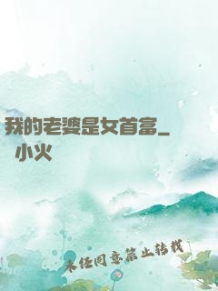 我的老婆是女首富