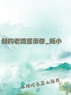 我的老婆是帝尊
