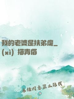 我的老婆是扶弟魔