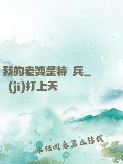 我的老婆是特種兵