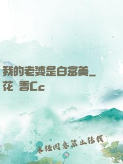 我的老婆是白富美