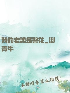 我的老婆是警花