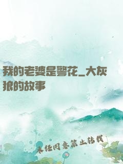 我的老婆是警花