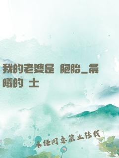 我的老婆是雙胞胎