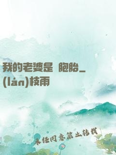 我的老婆是雙胞胎