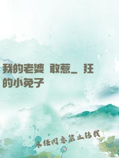 我的老婆誰敢惹