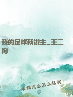 我的足球我做主