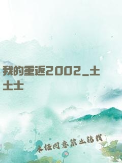 我的重返2002