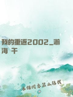 我的重返2002