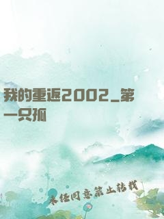 我的重返2002