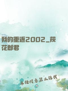 我的重返2002