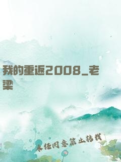 我的重返2008