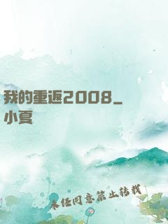 我的重返2008