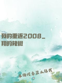 我的重返2008