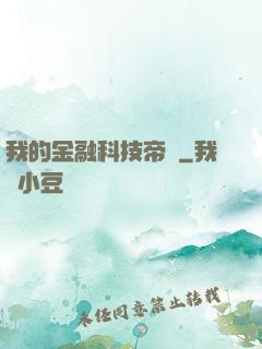 我的金融科技帝國