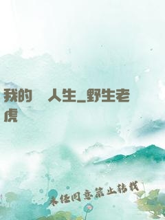 我的開掛人生