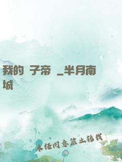 我的電子帝國