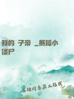 我的電子帝國