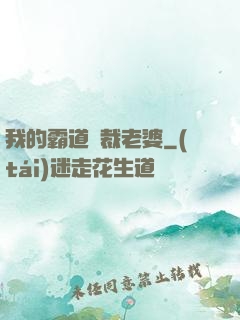我的霸道總裁老婆