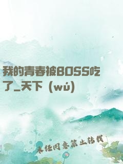 我的青春被BOSS吃了