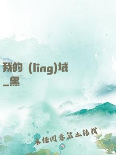 我的領(lǐng)域