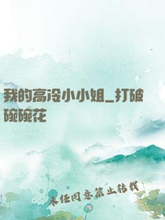 我的高冷小小姐
