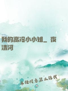 我的高冷小小姐