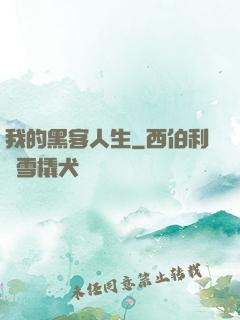 我的黑客人生