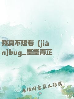 我真不想看見(jiàn)bug