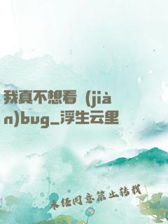 我真不想看見(jiàn)bug