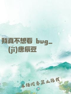 我真不想看見bug