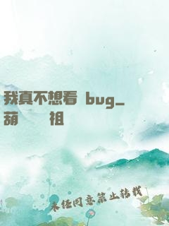 我真不想看見bug