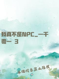 我真不是NPC