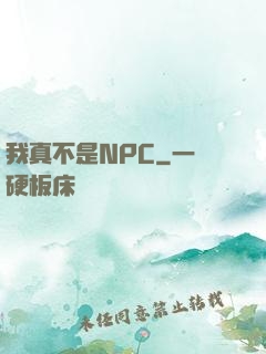 我真不是NPC