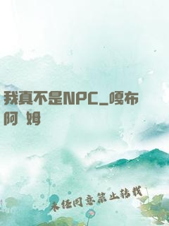我真不是NPC